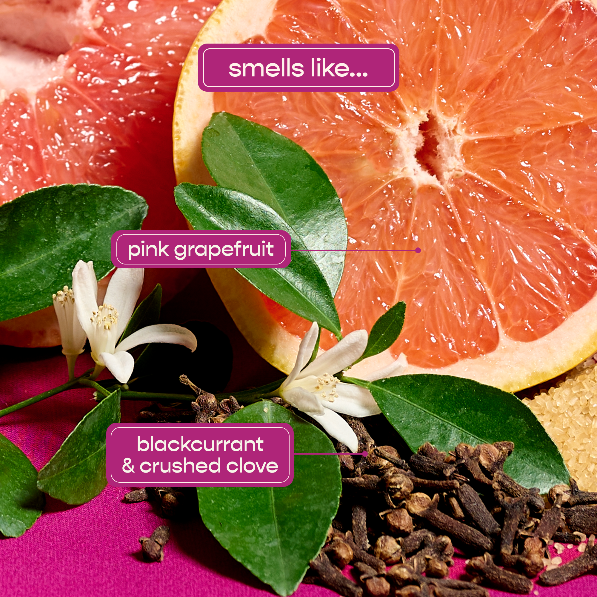 Paris Shine Shampoo - Shampoohotel