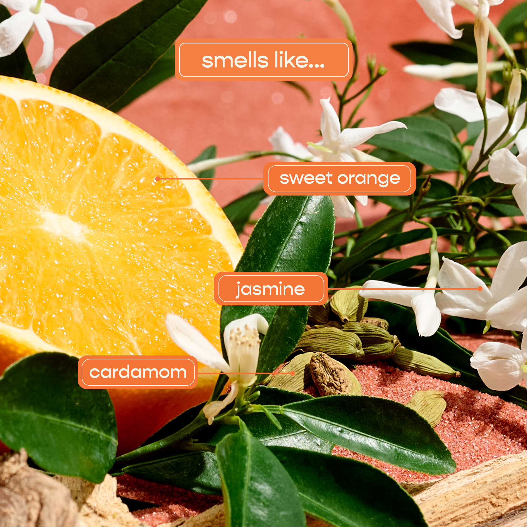 Marrakesh Strengthening Shampoo - Shampoohotel