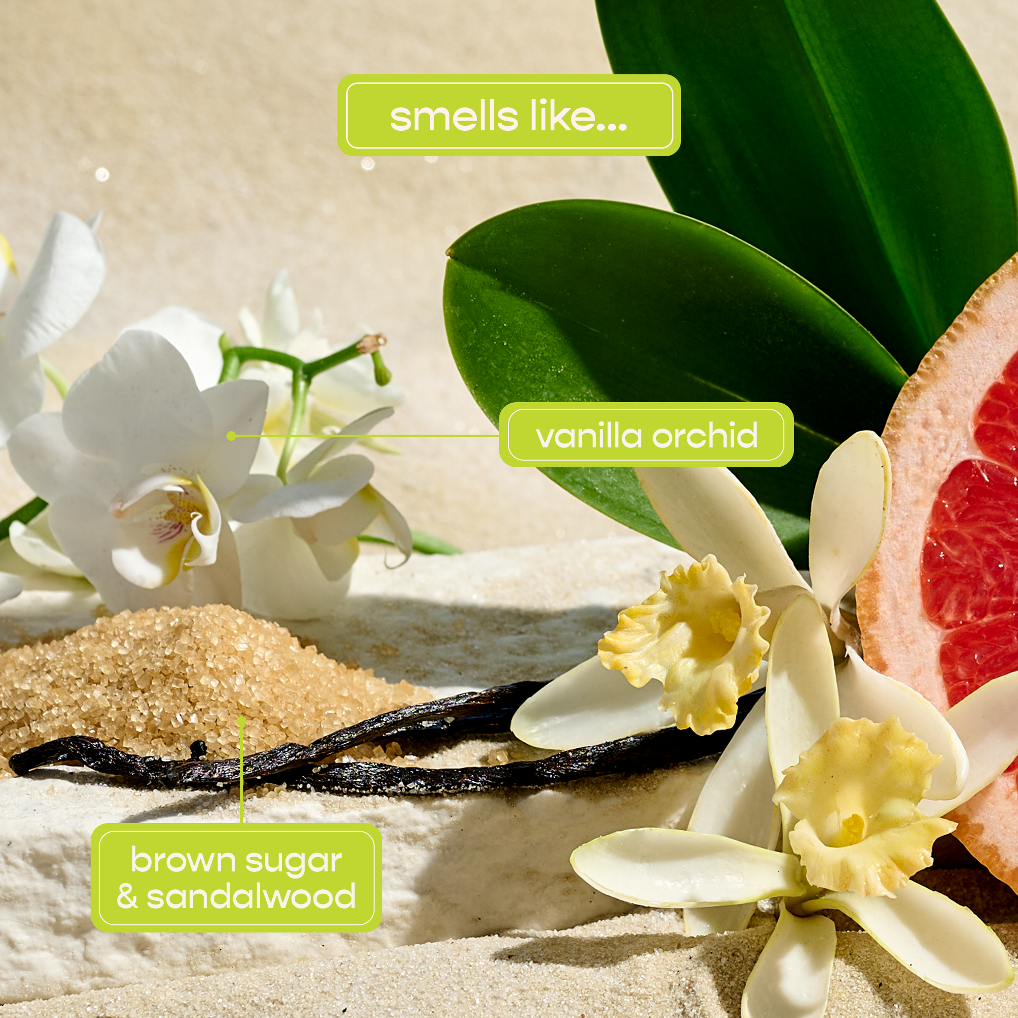 Rio Body Wash - Shampoohotel