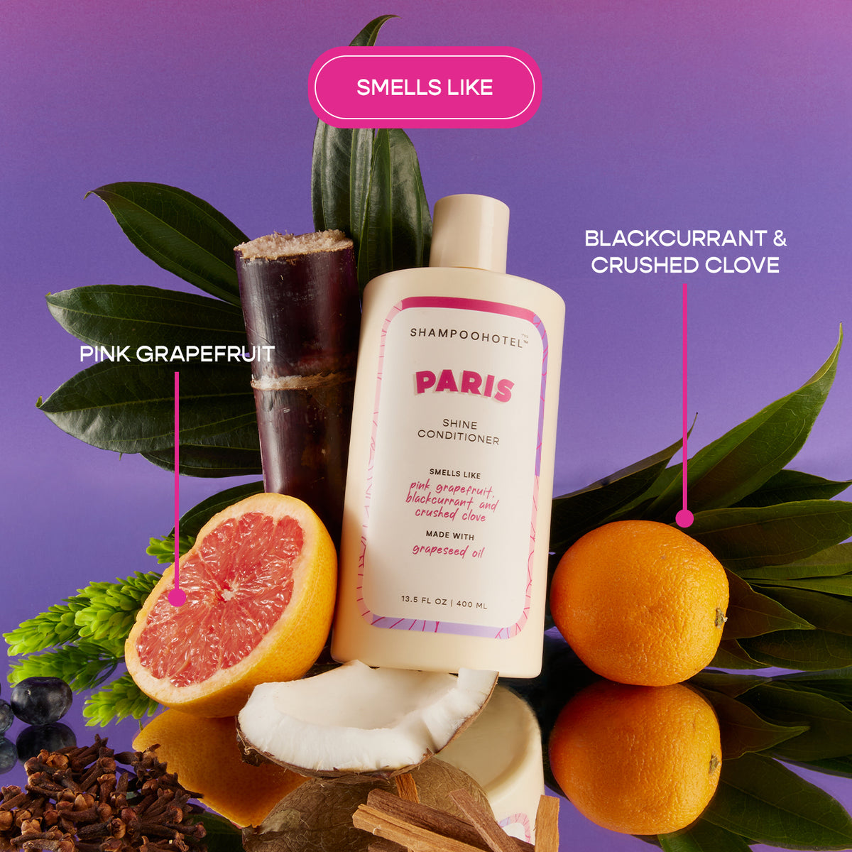 Paris Shine Conditioner